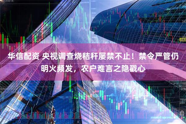 华信配资 央视调查烧秸秆屡禁不止！禁令严管仍明火频发，农户难言之隐戳心