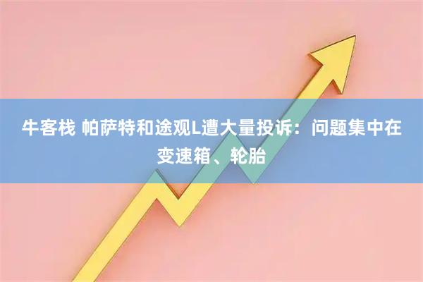 牛客栈 帕萨特和途观L遭大量投诉：问题集中在变速箱、轮胎