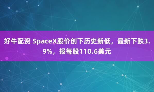 好牛配资 SpaceX股价创下历史新低，最新下跌3.9%，报每股110.6美元