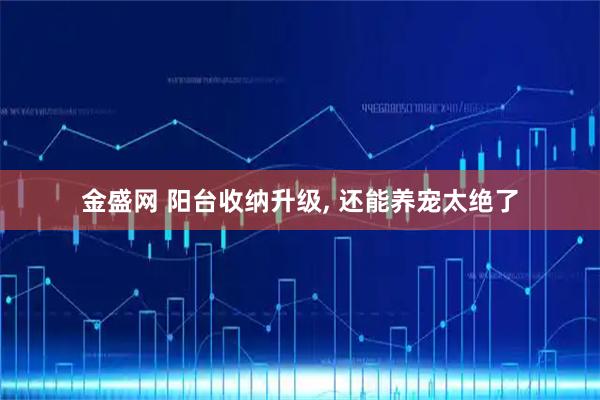 金盛网 阳台收纳升级, 还能养宠太绝了