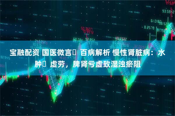 宝融配资 国医微言・百病解析 慢性肾脏病：水肿・虚劳，脾肾亏虚致湿浊瘀阻