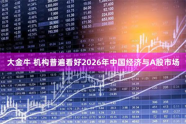 大金牛 机构普遍看好2026年中国经济与A股市场
