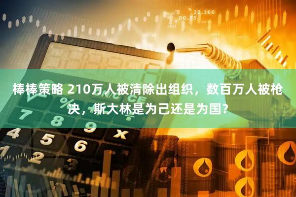 棒棒策略 210万人被清除出组织，数百万人被枪决，斯大林是为己还是为国？