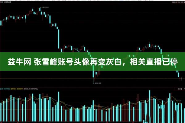 益牛网 张雪峰账号头像再变灰白，相关直播已停