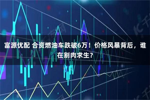富源优配 合资燃油车跌破6万！价格风暴背后，谁在割肉求生？