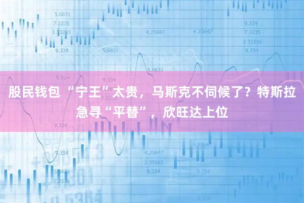 股民钱包 “宁王”太贵，马斯克不伺候了？特斯拉急寻“平替”，欣旺达上位