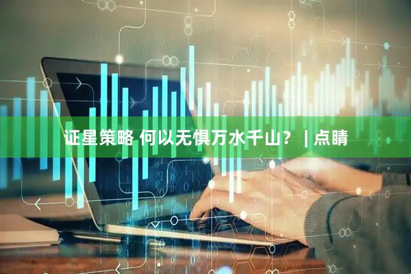 证星策略 何以无惧万水千山？ | 点睛