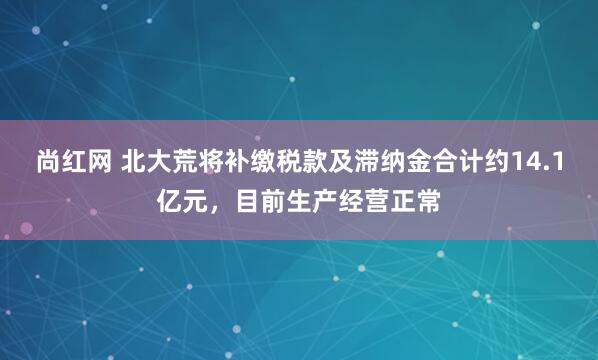 尚红网 北大荒将补缴税款及滞纳金合计约14.1亿元，目前生产经营正常